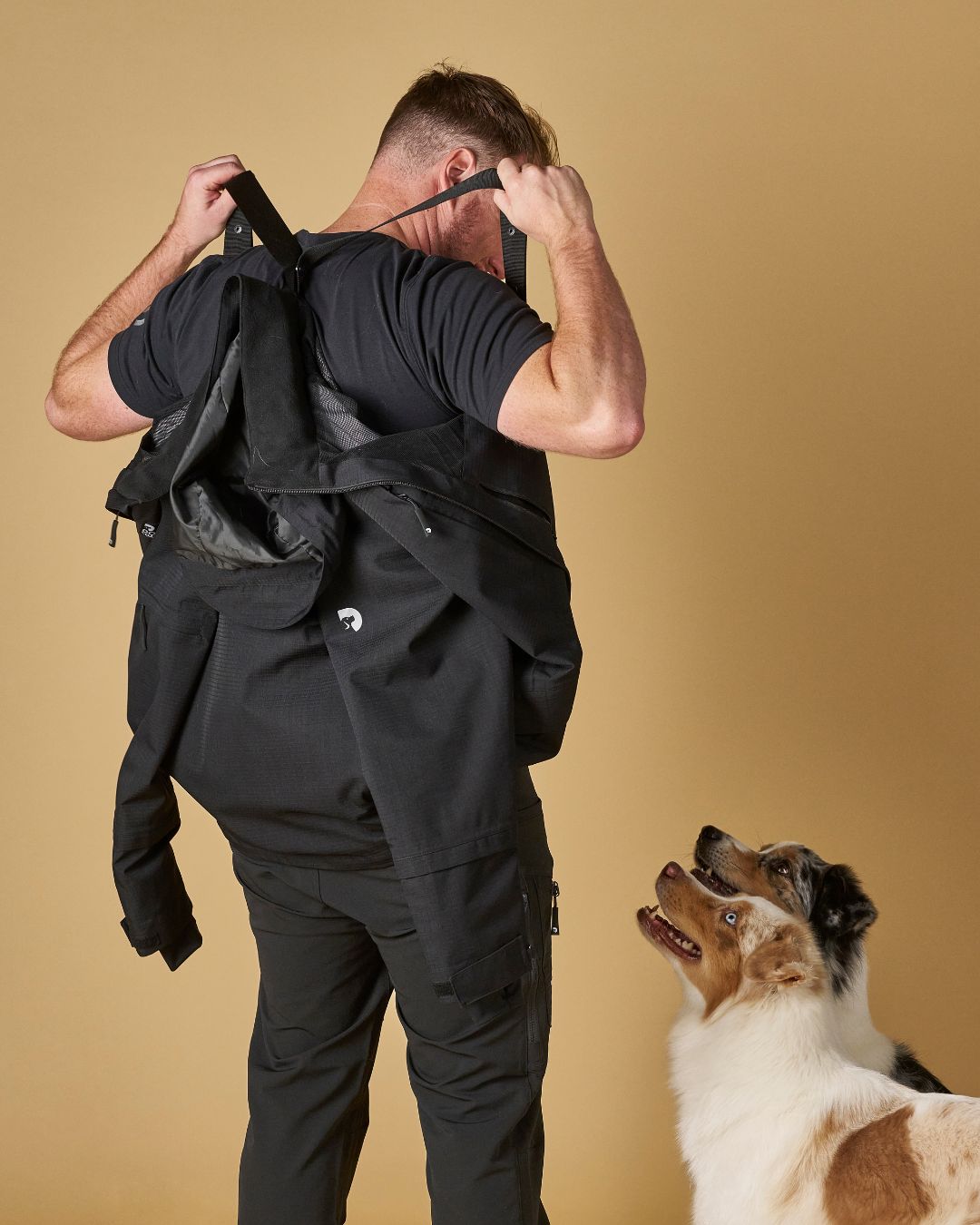 Dog Coach Pack&Carry